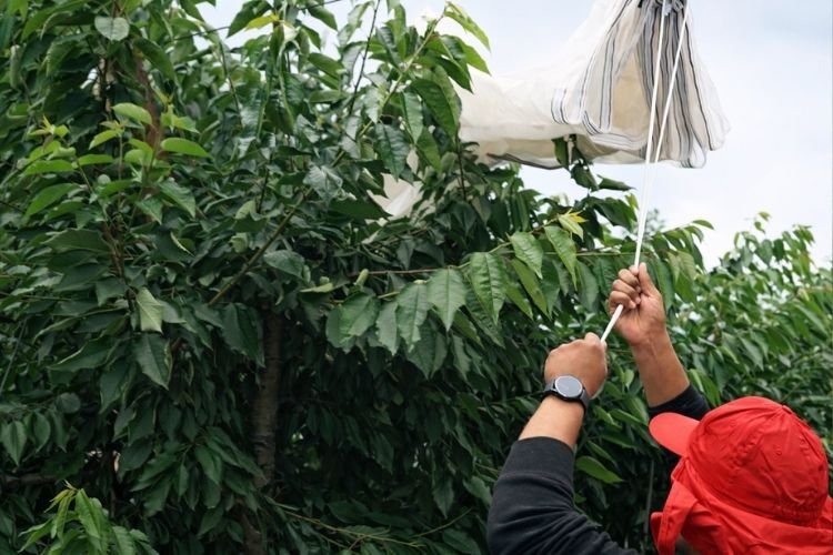 ZR Contratista Agrícola 3