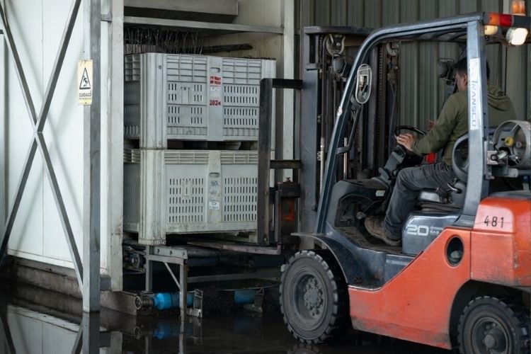 ZR Contratista Agrícola 5