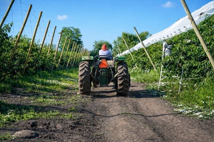 ZR Contratista Agrícola 8